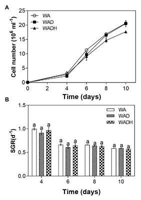 Biodegradation of Doxylamine From Wastewater by a Green Microalga, Scenedesmus obliquus